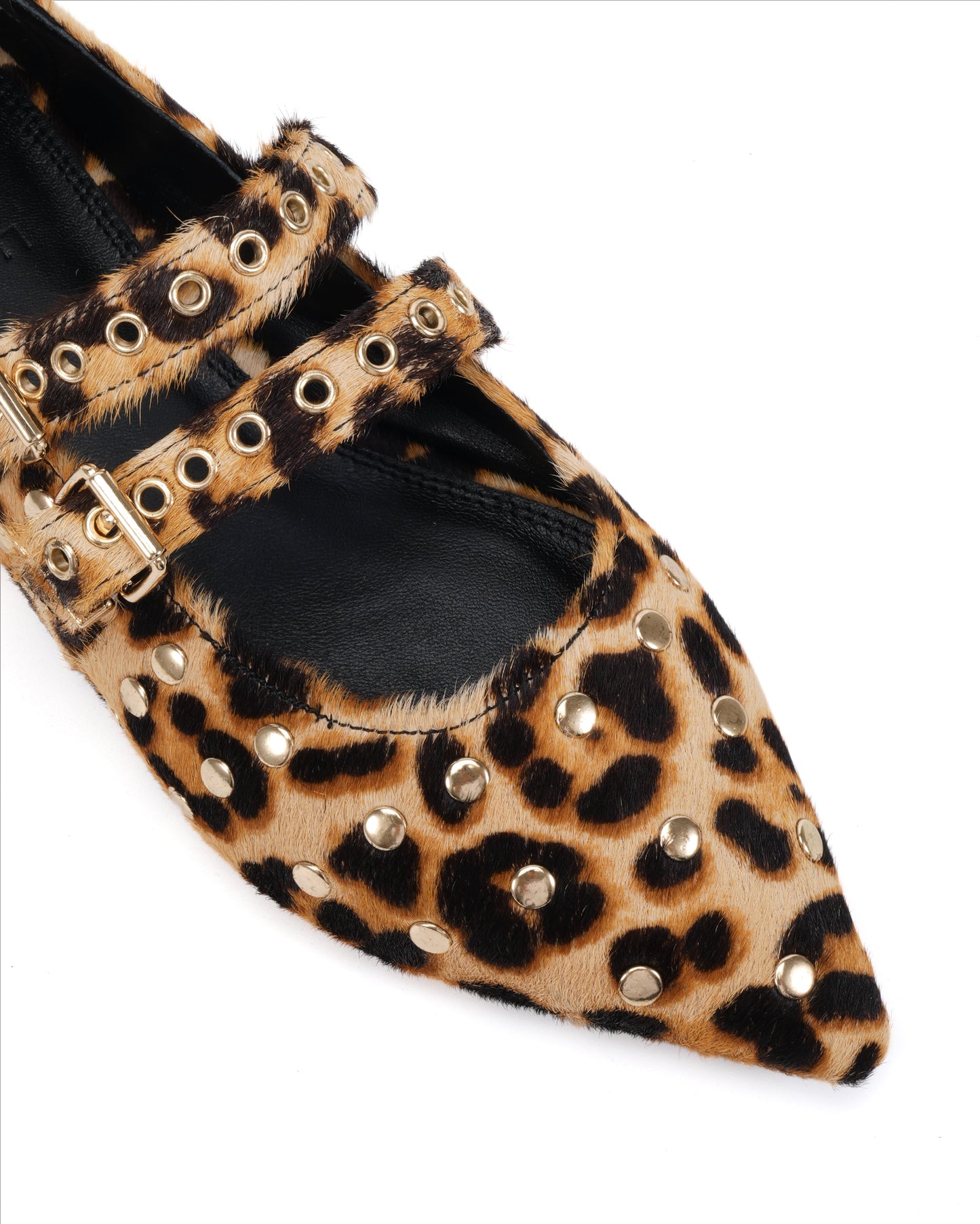 Gaia Leopard
