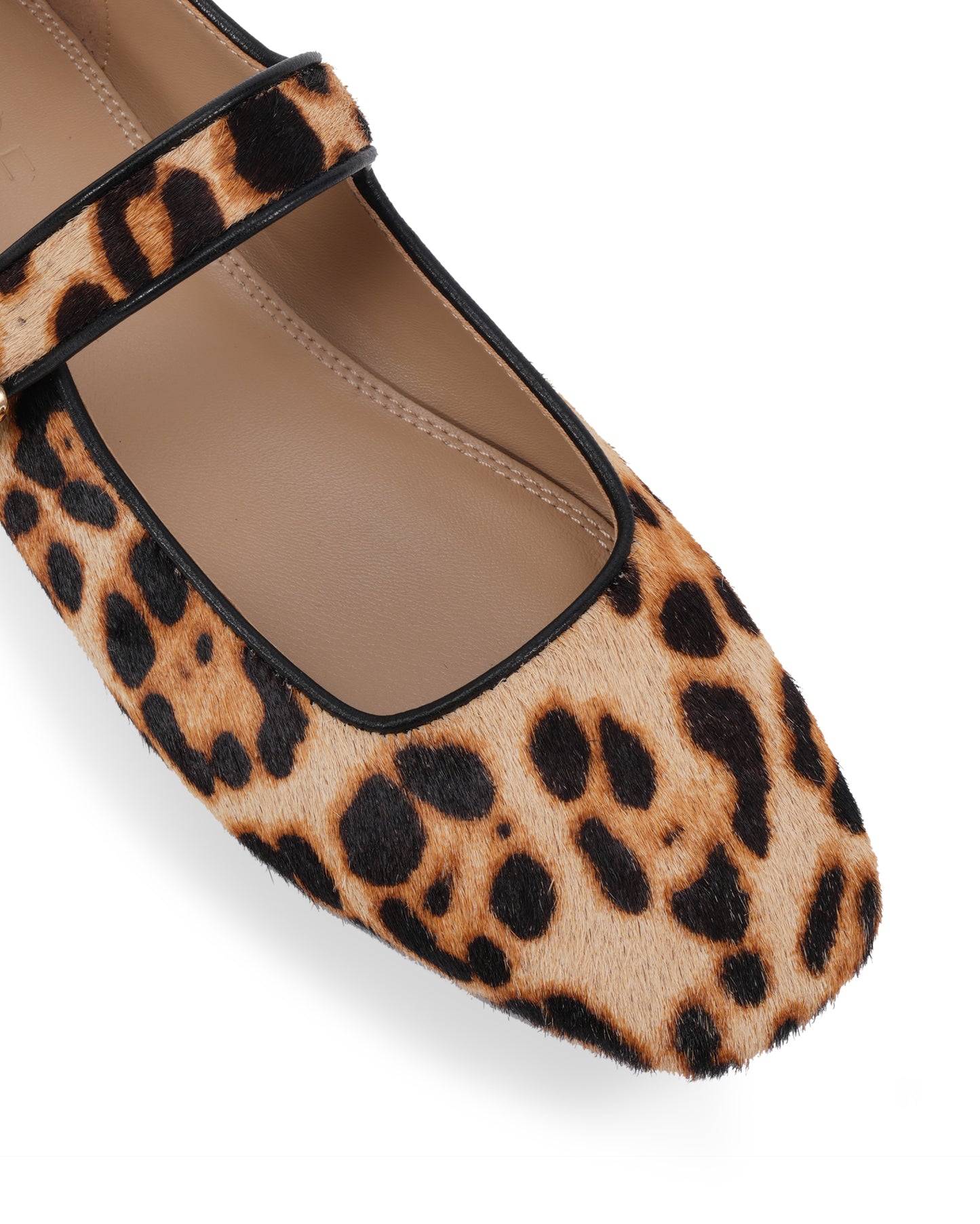 Mik Leopard