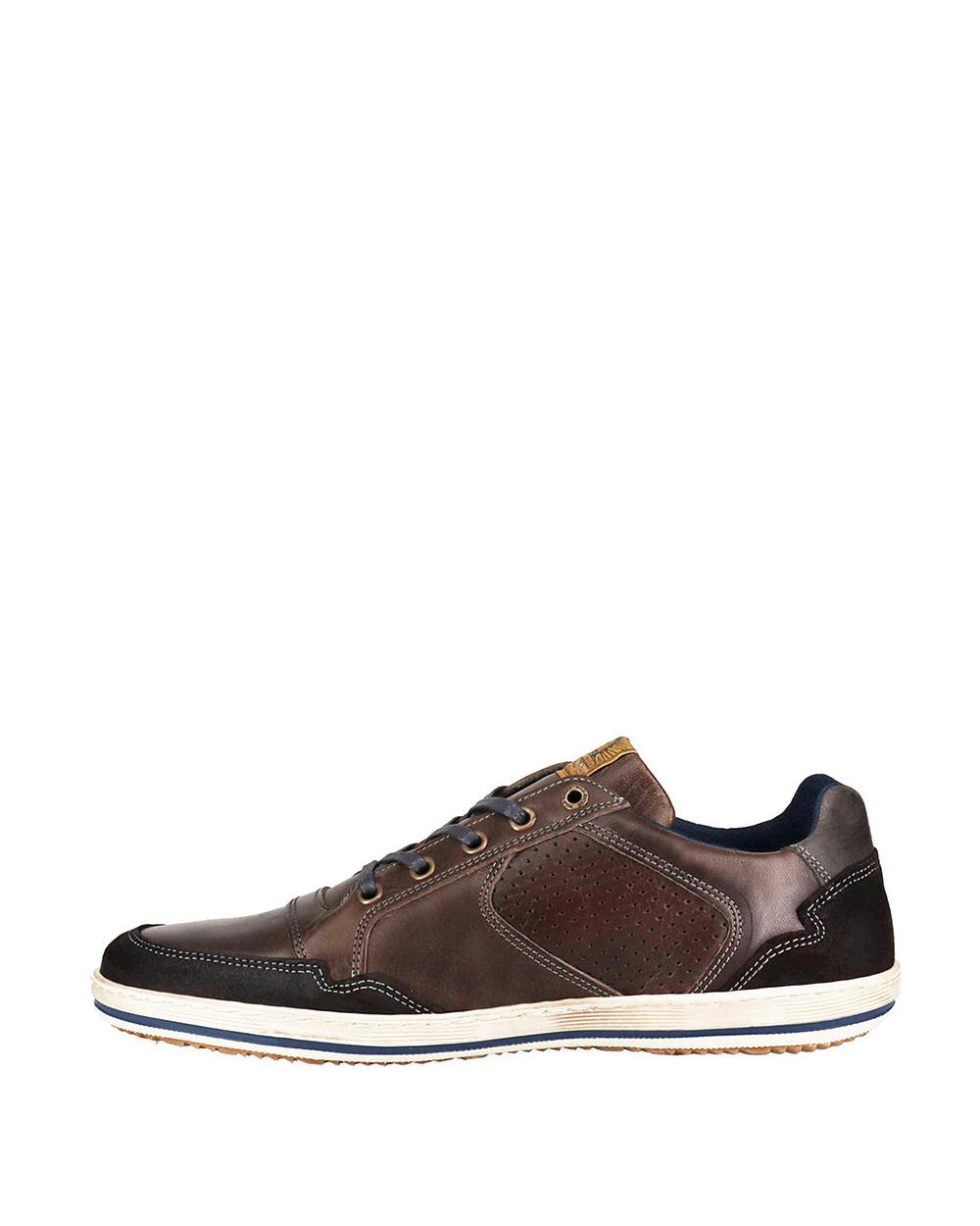 Crest Black