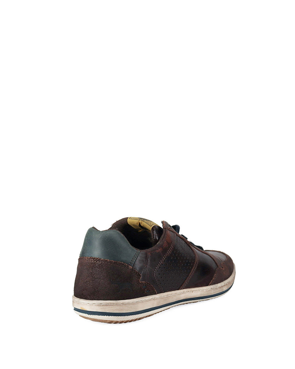 CREST Dark Brown