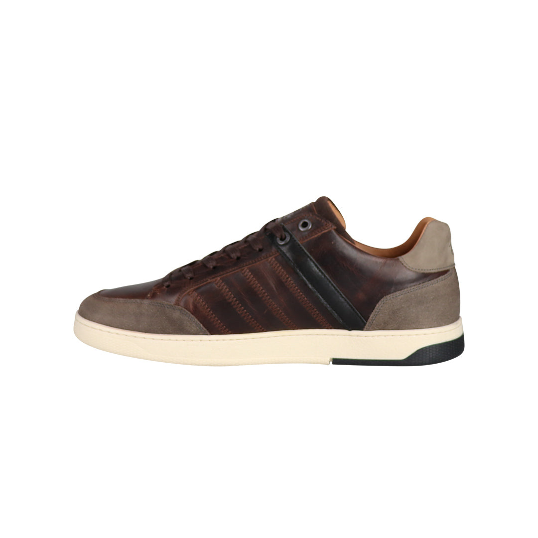 CRISP Dark Brown