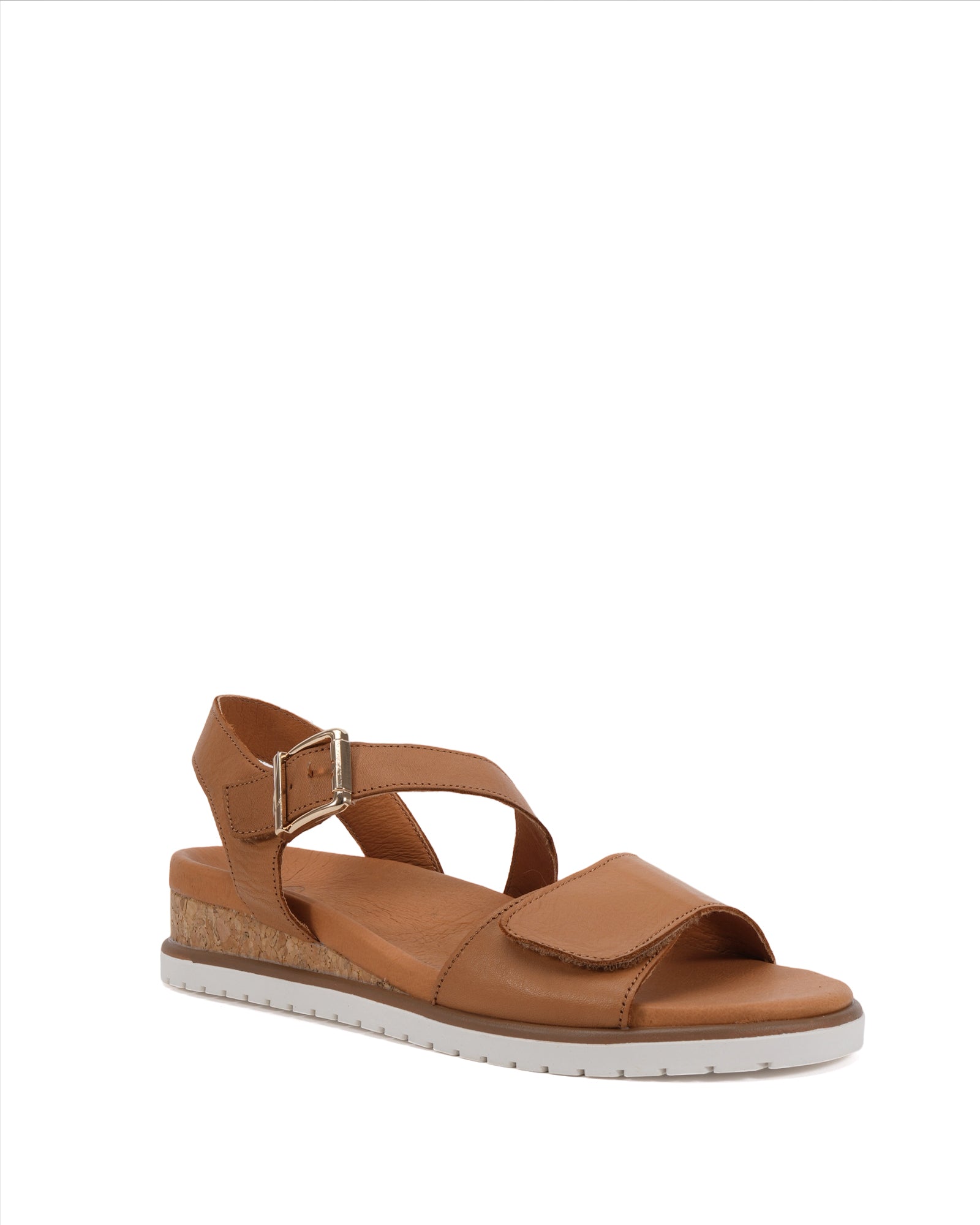 2025SLS-134_Nancy_Tan2