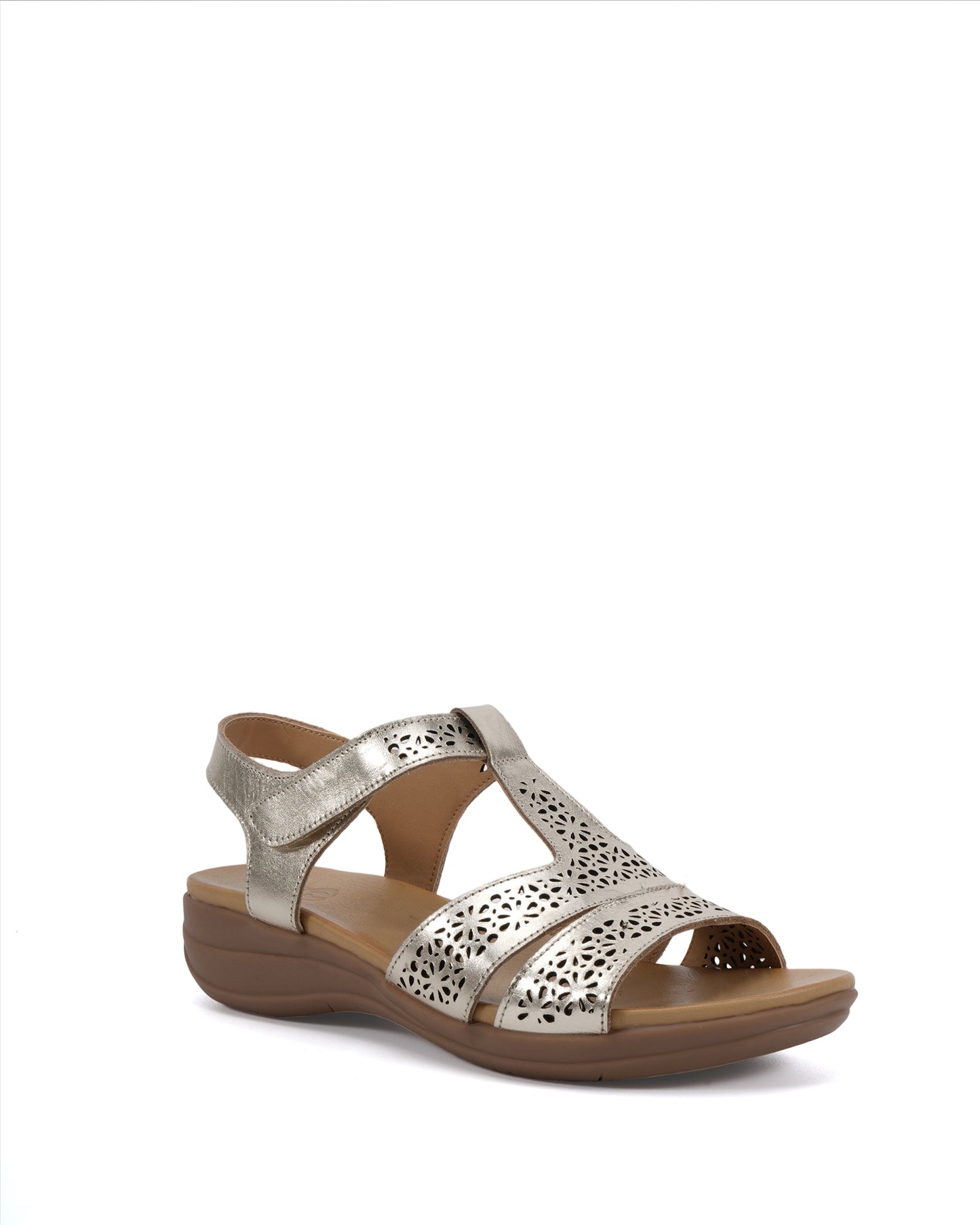 2025SLS-135_SNOW_Gold2