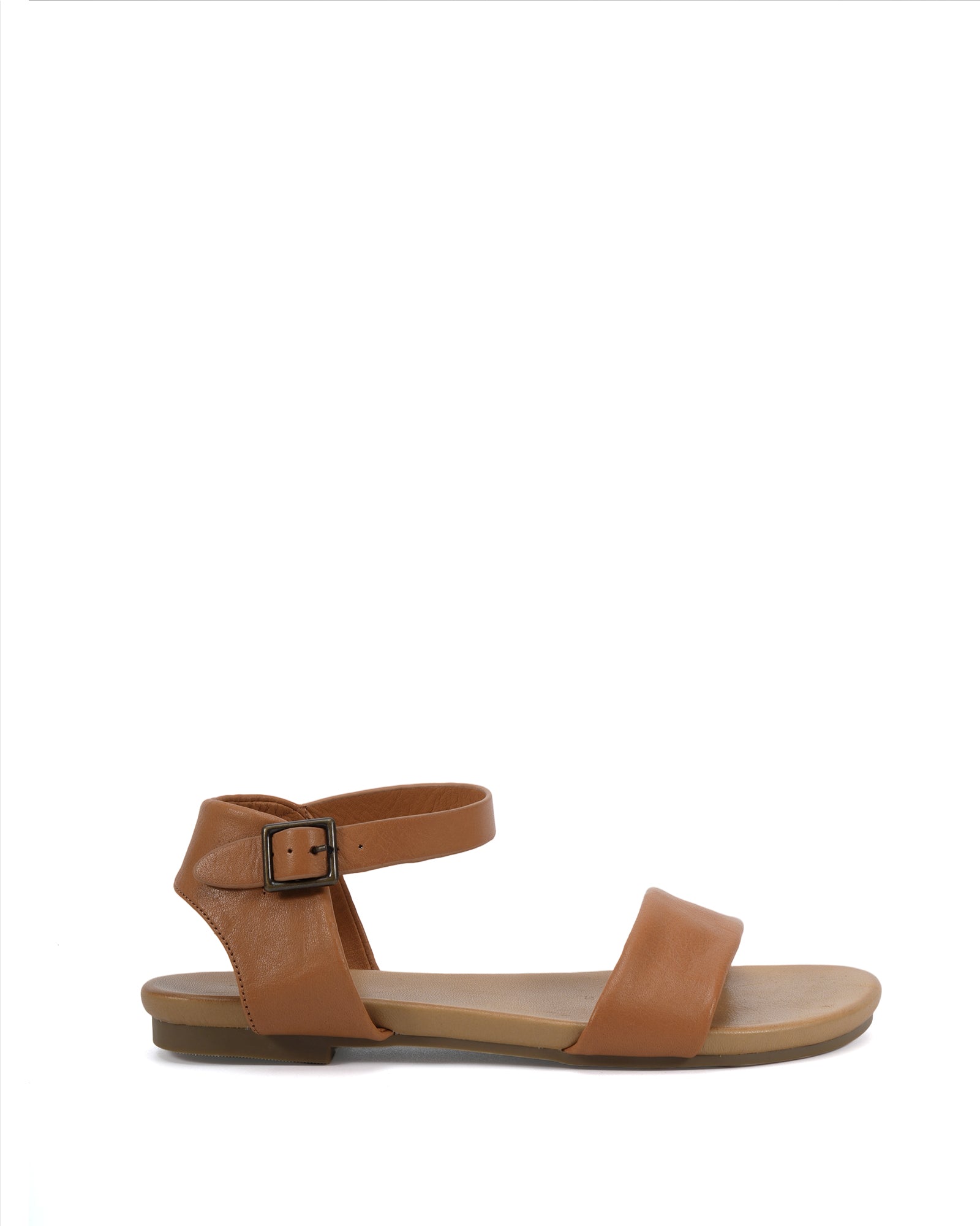 2025SLS-137_SUGAR_Tan1