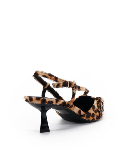 Aymara Leopard