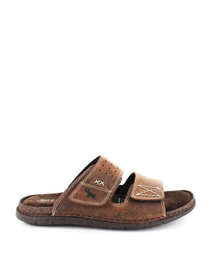 Reef Brown