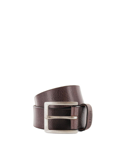 Dress Belt Chocolate