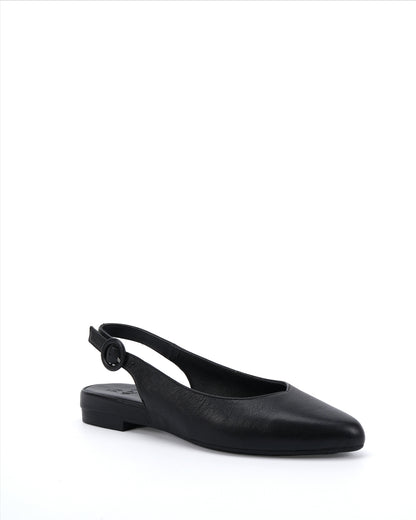 Viva Black
