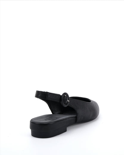 Viva Black