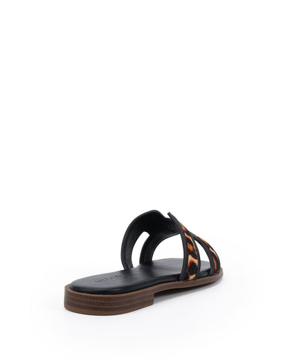 F24422-5_ATLANTA_Black_Leopard4