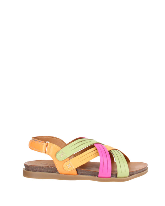 Lucy Bright Multi