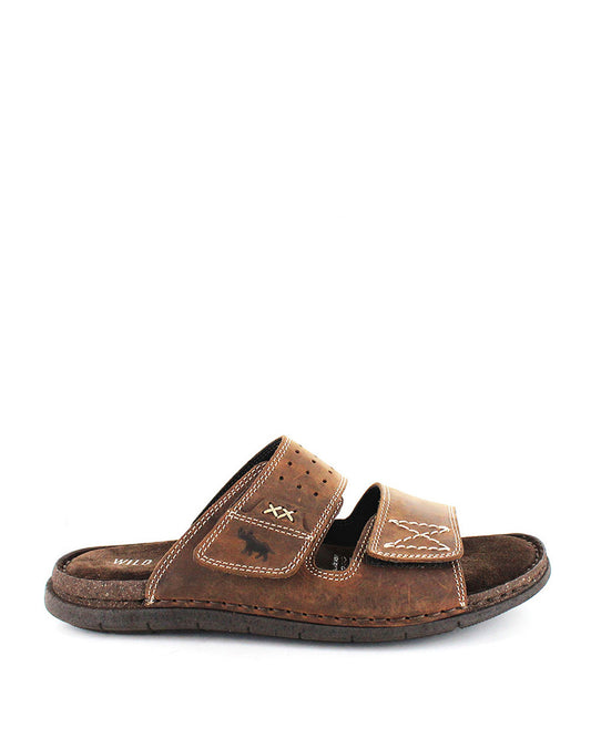 Reef Brown