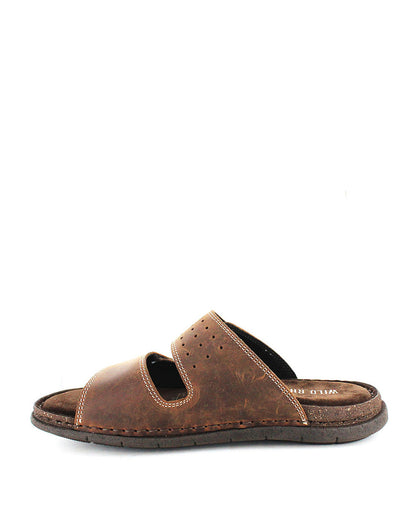 Reef Brown