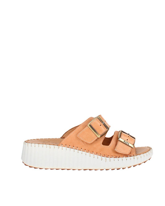 Solena Coconut