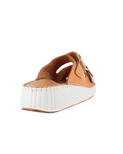 Solena Coconut