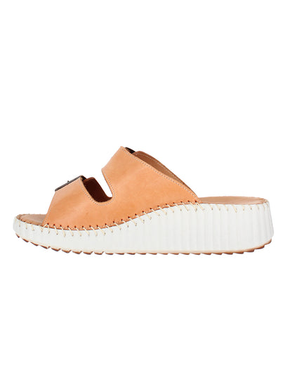 Solena Coconut