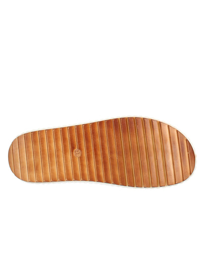 Solena Coconut
